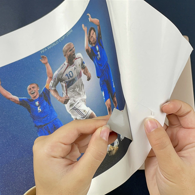 Πλήρες σώμα Laptop Skin Machine Making Printer Vinyl Graphics Printer Cutter Software Custom